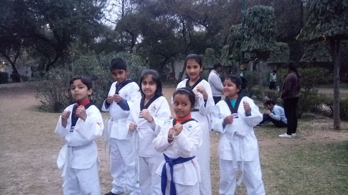 Delhi Martial arts Taekwondo Academy